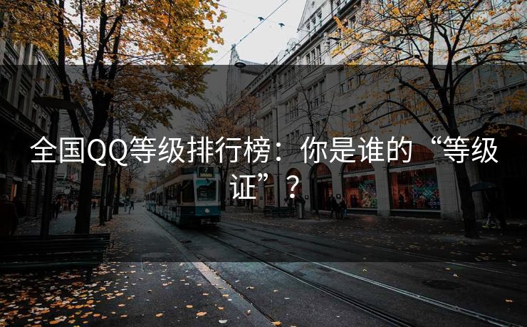 全国QQ等级排行榜：你是谁的“等级证”？