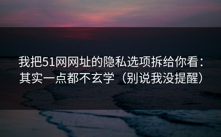 我把51网网址的隐私选项拆给你看：其实一点都不玄学（别说我没提醒）
