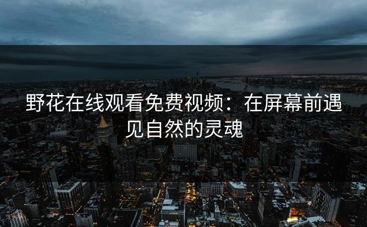野花在线观看免费视频：在屏幕前遇见自然的灵魂